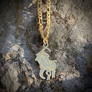 Polo Reaper Pendant Gold + Chain
